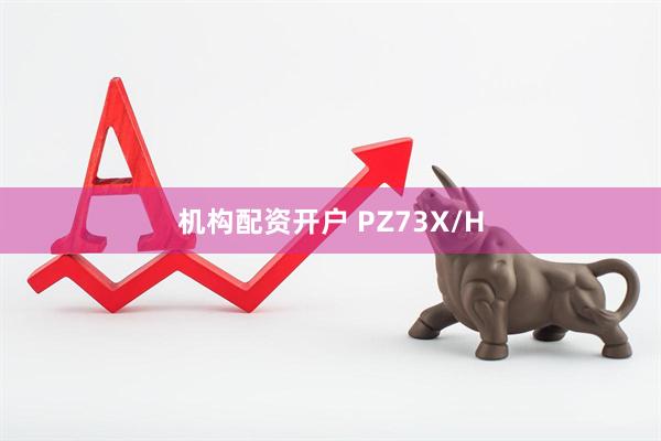 机构配资开户 PZ73X/H